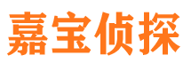 环翠市侦探公司